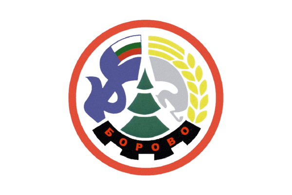 Local government of Borovo logo